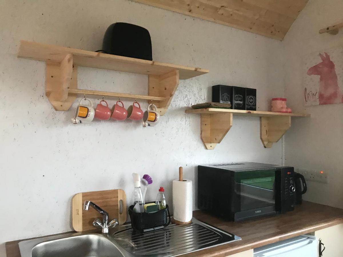The Beautiful Lazy Llama Shepherd Hut Farm Stay Балишанън Екстериор снимка