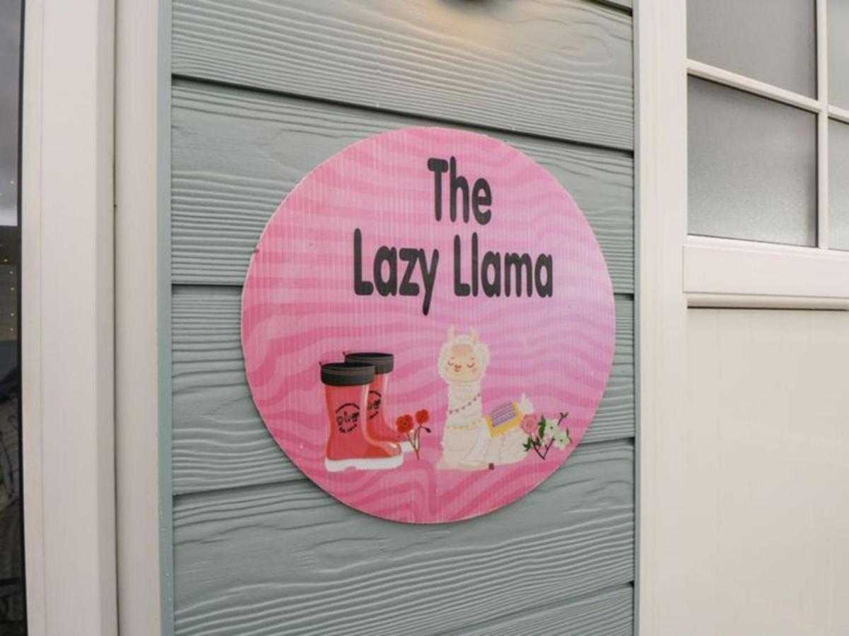 The Beautiful Lazy Llama Shepherd Hut Farm Stay Балишанън Екстериор снимка